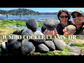 JUMBO COCKLE CLAMS, OREGON!!! {Gather Clean & Cook: Linguine with White Clam Sauce}