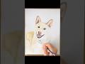 Watercolor portrait of a smiling dog #petportrait #shibainu #dog #ilovedogs