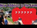 Close Call! We Almost Had a Barn Fire!/Special Guest on the Farm/Surprise New Tractor