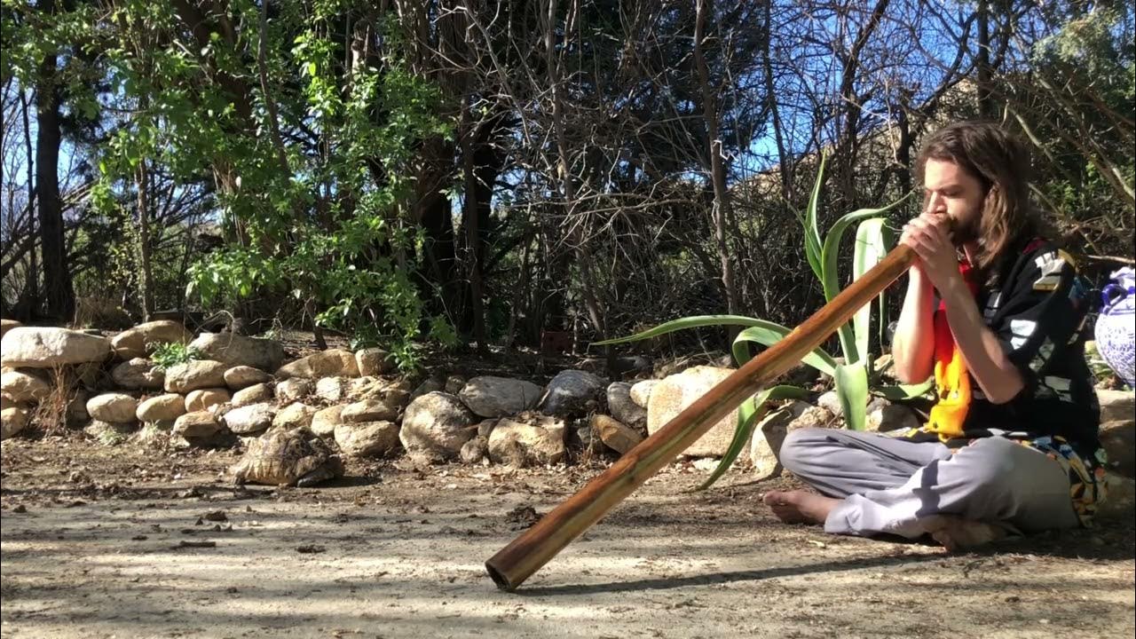 Agave Didgeridoo Circular Breathing Music YouTube