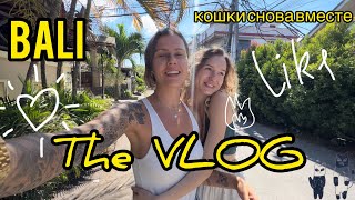 :   .     .         ! The VLOG!