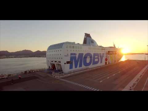 Moby Wonder - Morning Wonder!