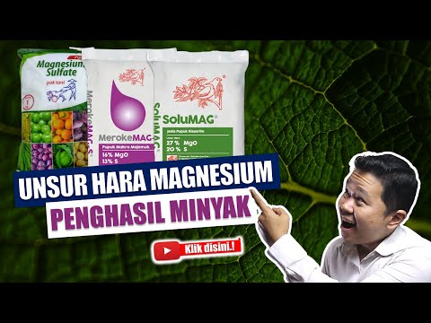 Video: Mempunyai sifat yang serupa dengan magnesium?