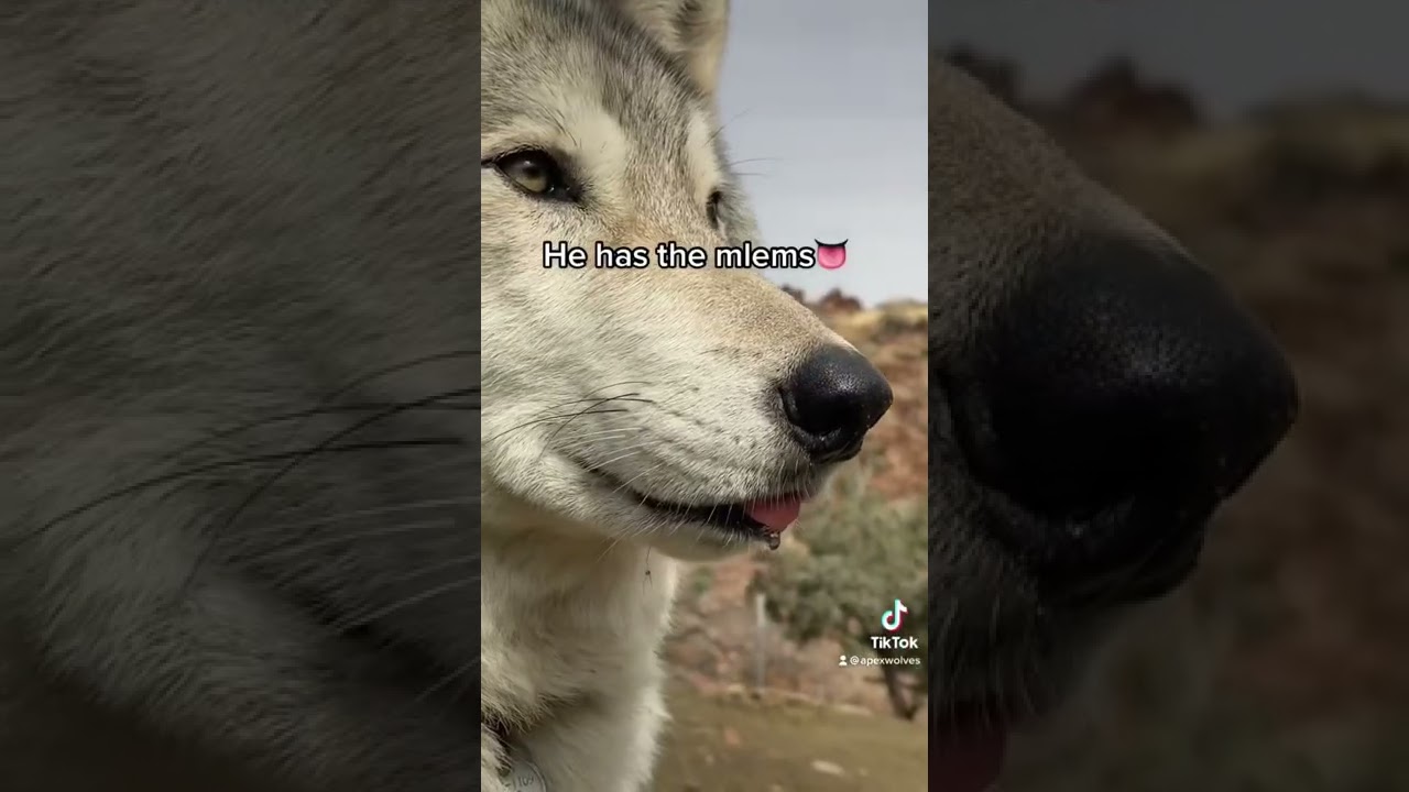 What’s not to like? 