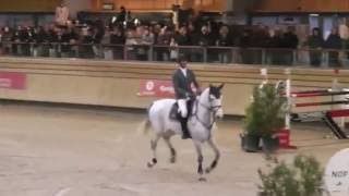 Equitation C S O Pro1 ( 140) - Deauville Pôle International du Cheval