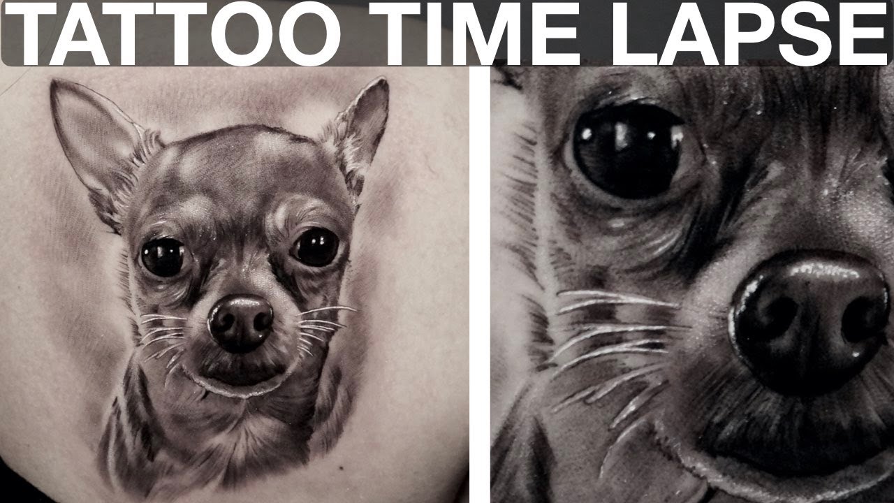 - Chihuahua Realistic Tattoo Time Lapse -