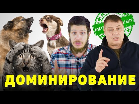 Бейне: Педоморфоз қалай пайда болады?