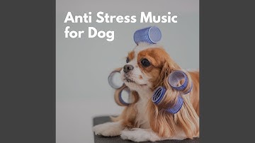 Refined Ambience for Forgetting Mirrors