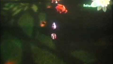 Viva Piñata-Como Evolucianar piñatas part.1