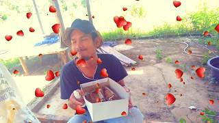 Pemulung Yang Beruntung