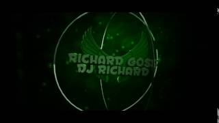Richard Goss DJ Richard neues Intro 5