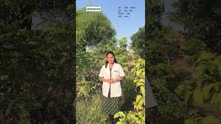 लतकरज 100 Days 100 Drugs