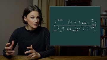 The Rational Numbers Are Not So "Rational" | Everywhere but Nowhere
