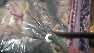Original Video 2 Kitties And 1 Boy