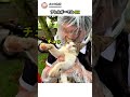 猫アレルギー対策