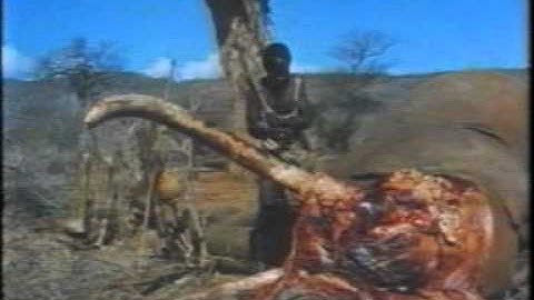 AIOU Matric Engligh Language Program 5