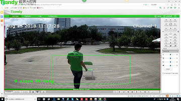 Tiandy VCA Function: On duty