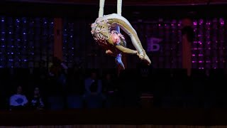 Дементьева Арина «Цветение Сакуры» 4 года, воздушная гимнастка на сетке