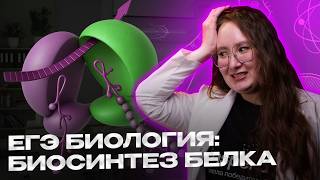 картинка: Биосинтез белка для ЕГЭ по биологии