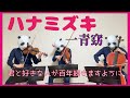 ハナミズキ/一青窈(バイオリン、チェロ、ビオラ)弾いてみた
