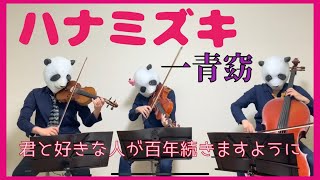 ハナミズキ 一青窈 バイオリン チェロ ビオラ 弾いてみた Pandaya Official Site