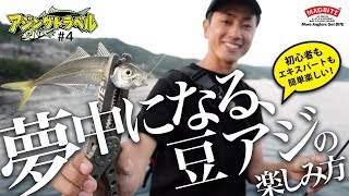 《 アジングトラベル vol.4 》初心者もエキスパートも夢中になる 豆アジングの楽しみ方！