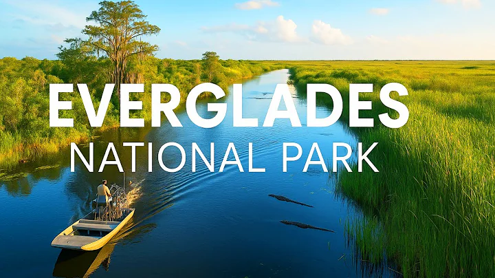 Top Things To Do in Everglades National Park (Travel Guide 2025)