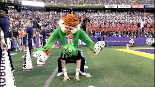 Celebrity Aubie the Tiger UCA Entry Video 2024 Profile