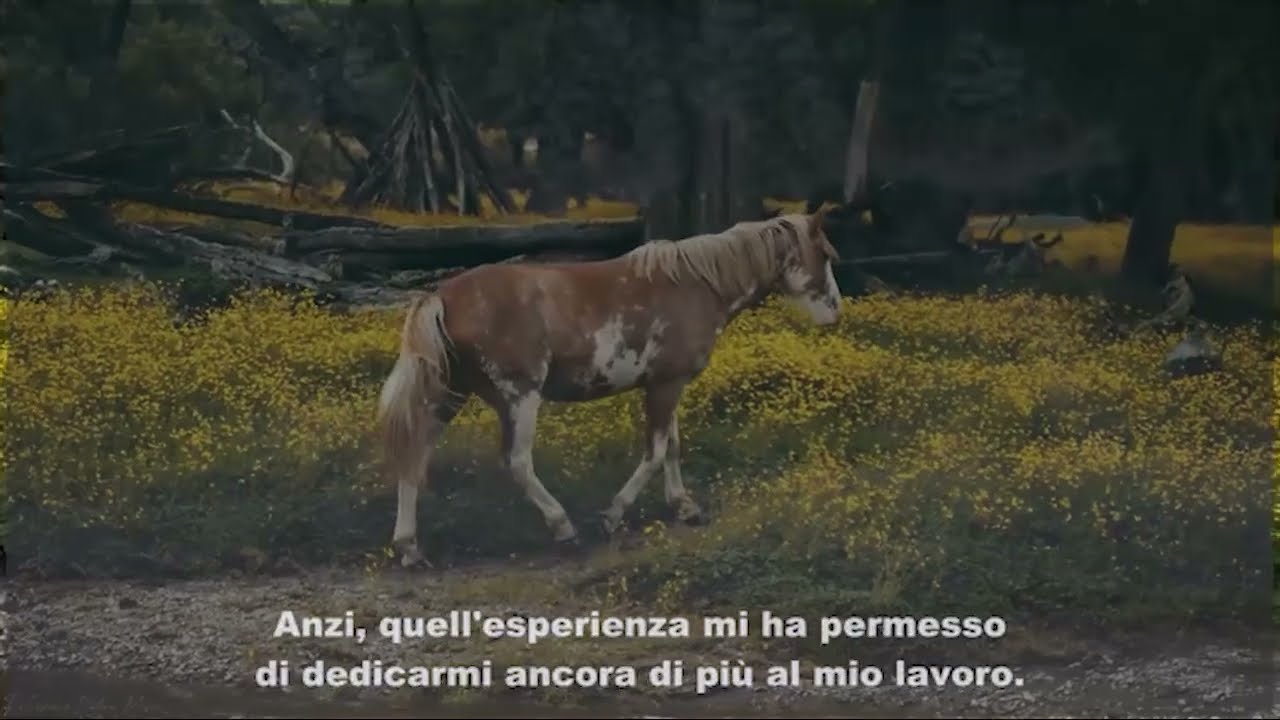 Era una mattina come tante, stavo impastando il pane nella cucina della Baker Catering, quando Katy è entrata con la figlia Nicole e mi ha detto: «Tuo padre, prima di morire, ha espresso un ultimo...