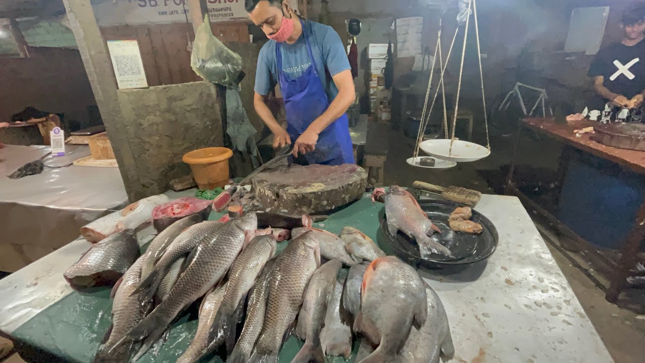 Fish Market Ranigate Guwahati Fresh Fish YouTube