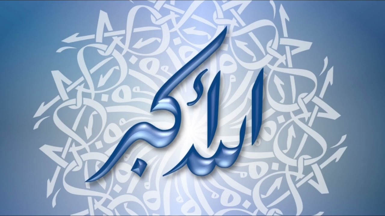 مجموعة من الأناشيد المنوعة