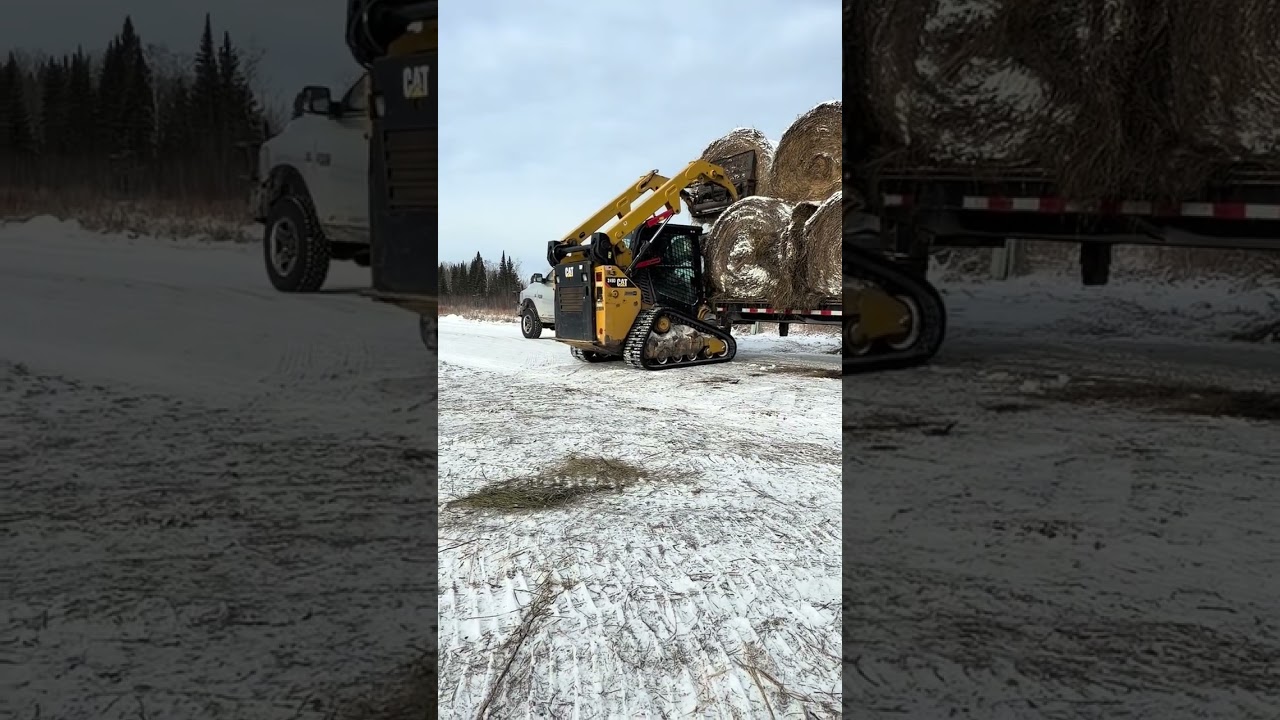 Endless winter task of hauling hay 
