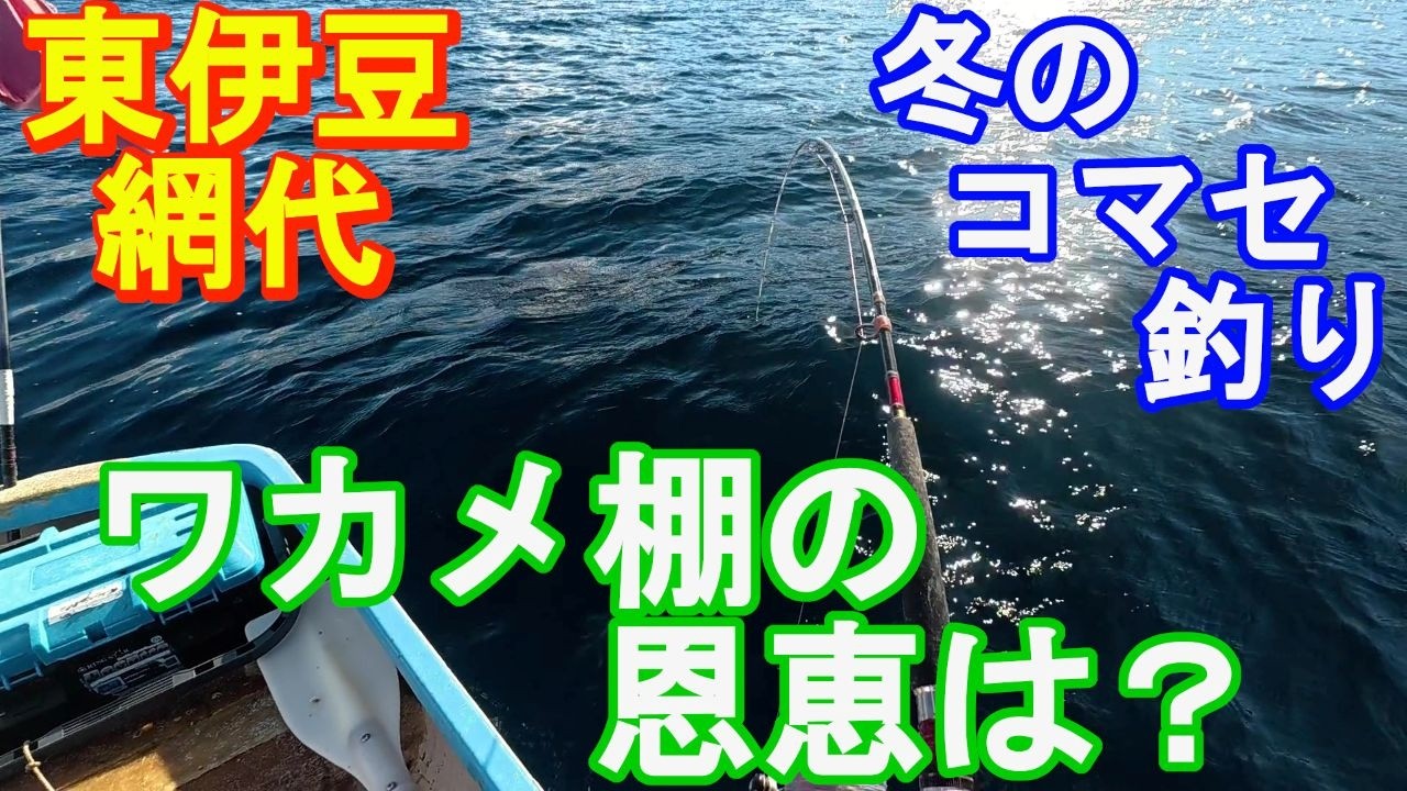 ♯345【網代ボート釣り】冬のコマセ釣り！わかめ棚効果か？スーパートリックサビキ大活躍！