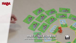 HABA game Wiggle waggle geese Demo video  (english with ChineseSubtitle) screenshot 1