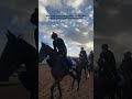 The social media team is always ready for the angles!✨🐎