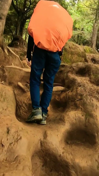 Jalur Pendakian Favorit Gunung Prau via Patak Banteng #shorts