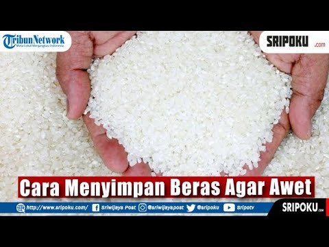 Video: Cara Menyimpan Beras Dengan Betul