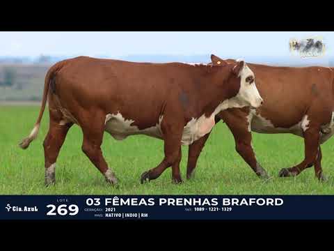 LOTE 269   TAT 1089, 1221, 1329 F Braford