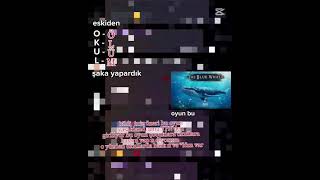 mavi balina ya  devam ediyolar