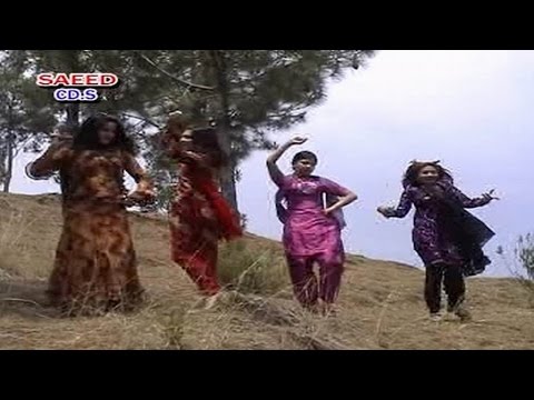 Ta Chi Hamzolo Ke Seth Pardesi And Wagma Pashto Song With Dance