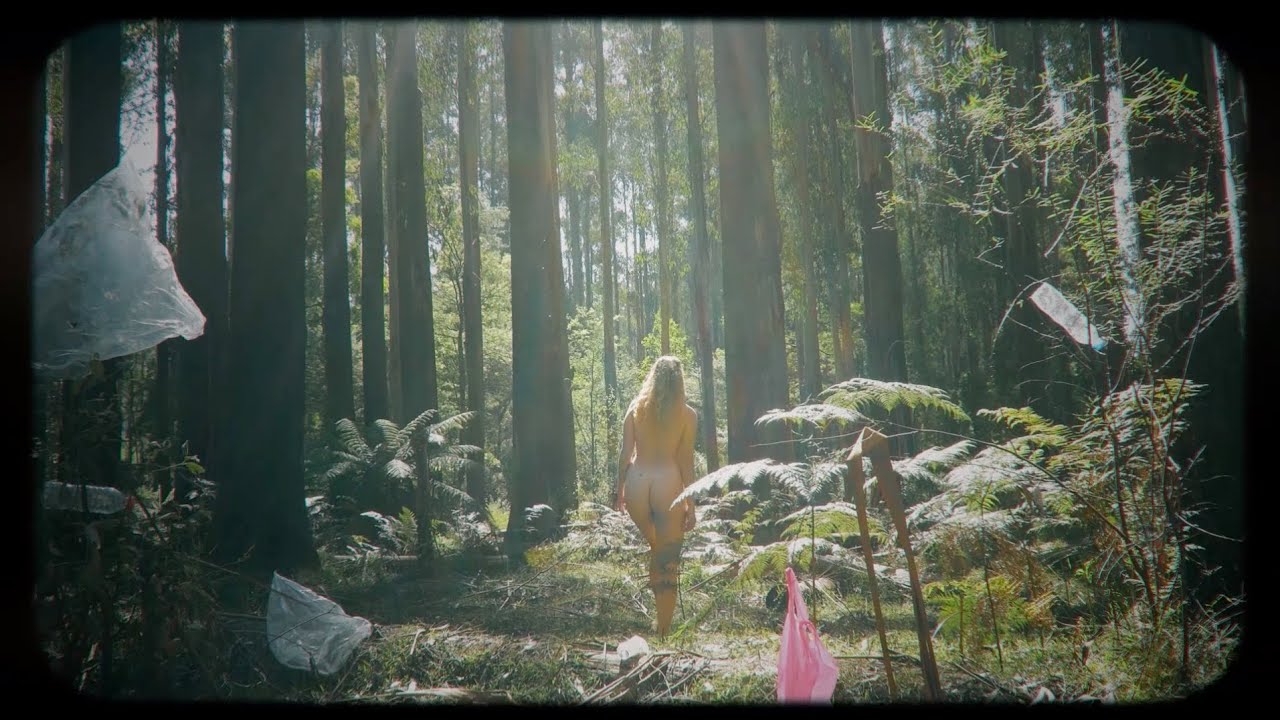 Frame The Forest Feat Baltimore Charlot Youtube