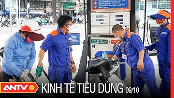 Bản Tin Kinh Tế Tiêu Dùng 9/10: Dự Báo Giá Xăng Dầu Trong Nước Sẽ Tăng Sau 4 Lần Giảm | ANTV
