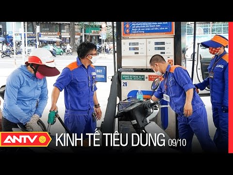 #1 Bản Tin Kinh Tế Tiêu Dùng 9/10: Dự Báo Giá Xăng Dầu Trong Nước Sẽ Tăng Sau 4 Lần Giảm | ANTV Mới Nhất