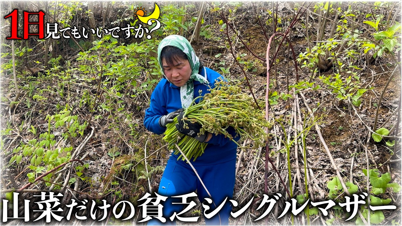 山小屋の貧乏なシングルマザーに1日密着したら人間離れの怪物だった...
