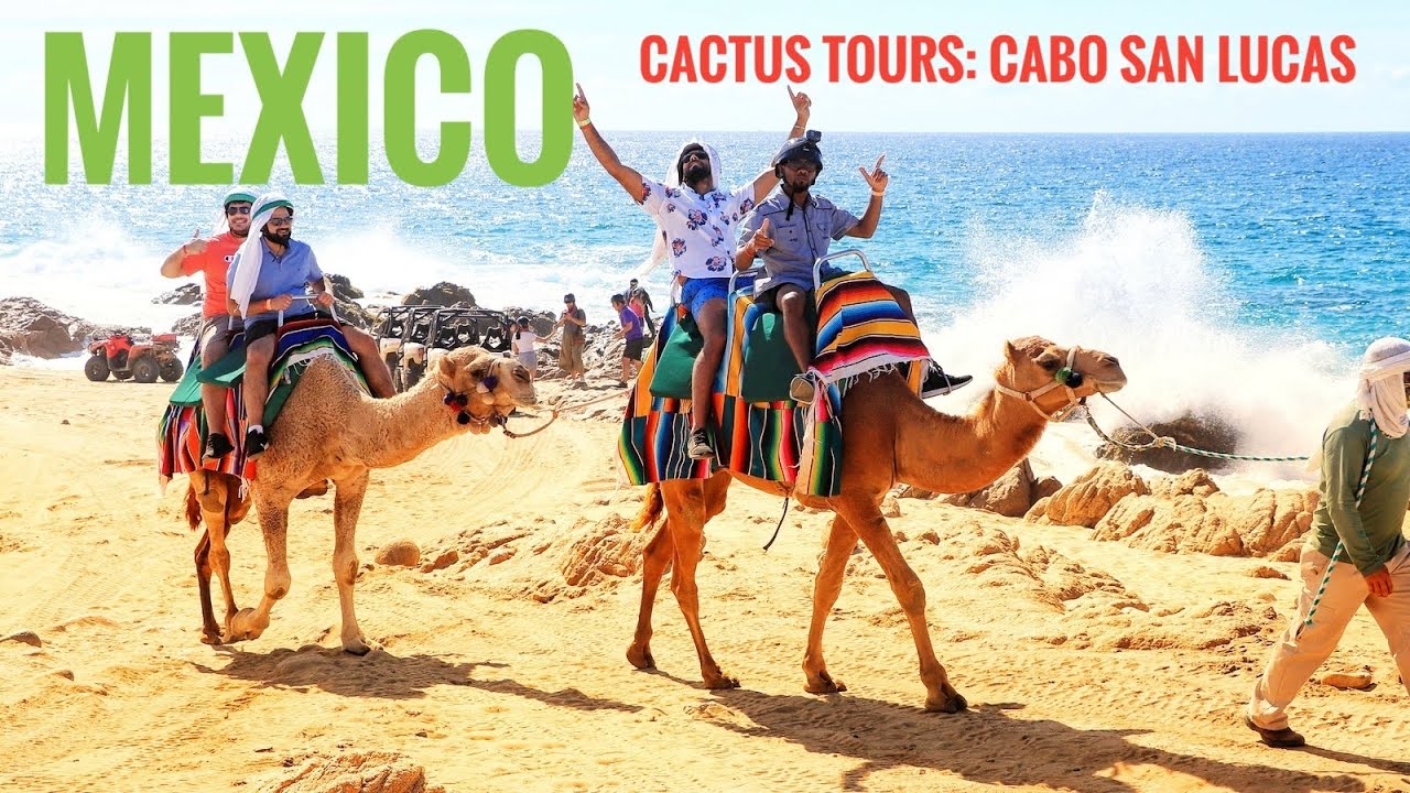 cactus tour