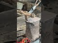 Merapikan ujung bilah pisau deres #blacksmithing #medievalblacksmith
