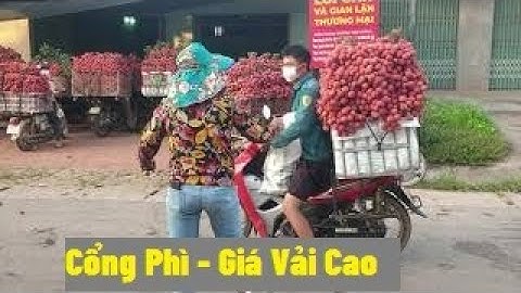 Cửa Cân Nào Giá Cũng Cao Tại Cổng Phì  Sớm Tinh Mơ 7/6/2021 Vải Thiều Lục Ngạn l Luc Ngan Litchi