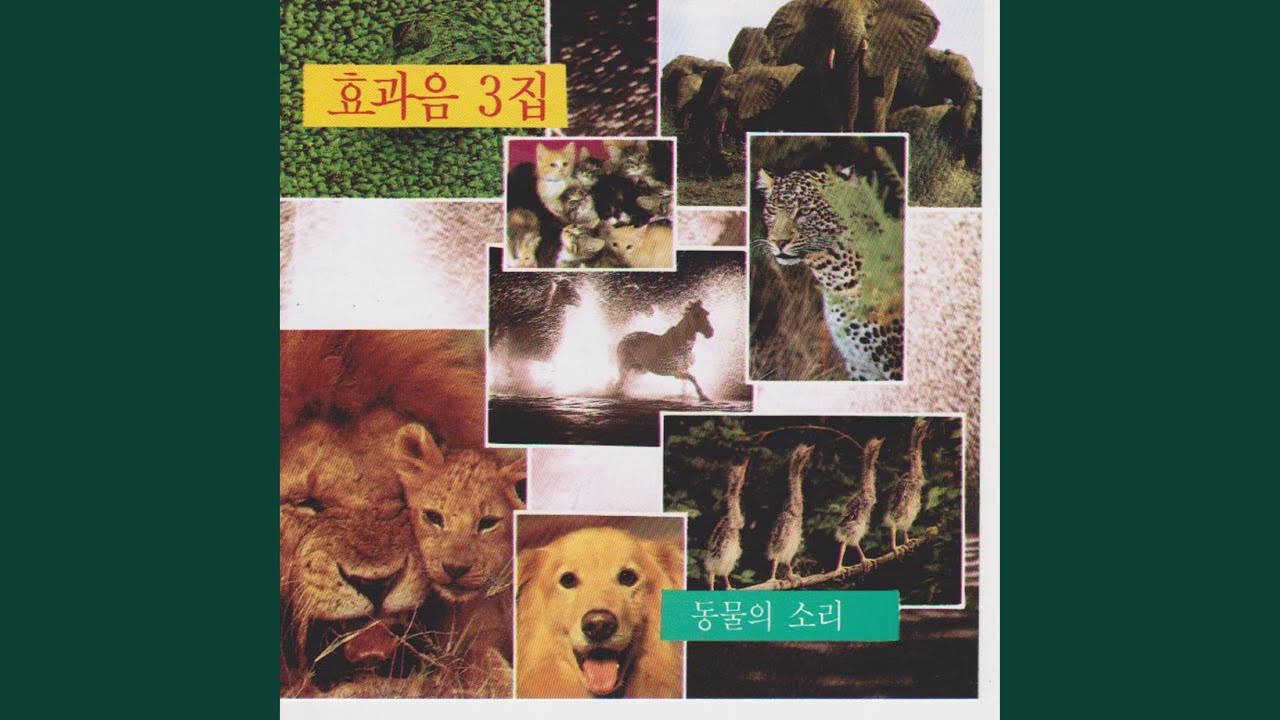 在 YouTube 上观看 Sound of Frog (개구리 울음소리)