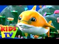 เบบี้ชาร์ค | วิดีโอเคลื่อนไหว | Kids Tv Thailand | เพลงสำหรับเด็ก | ก่อนวัยเรียน