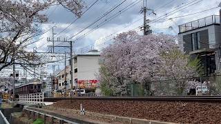 【阪急神戸線】武庫之荘駅周辺の桜とまだまだ走る6050F普通運用